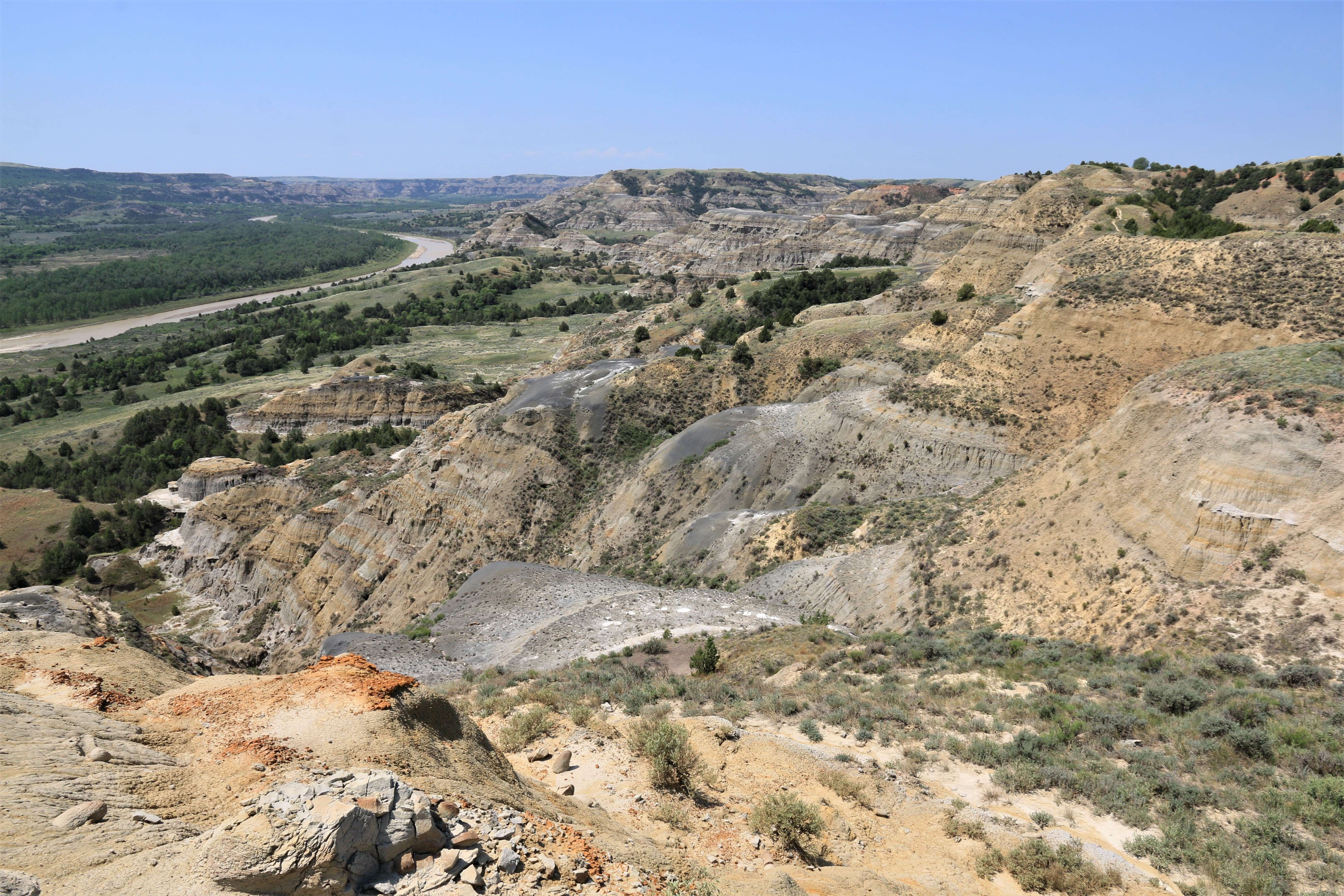 Theodore Roosevelt NP